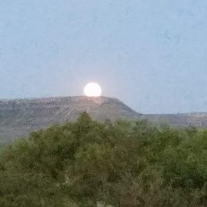 Meet your Posher, Stephen